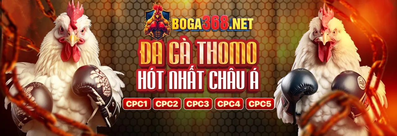 Ứng dụng di động web88 win